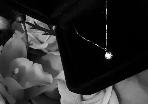 予算30万円で手に入る。1.0ctダイヤモンドネックレスという贅沢