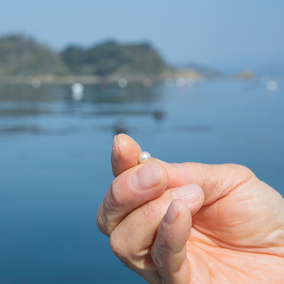 宇和島ナチュラルパールは、自然豊かな愛媛県宇和島市で生産しております。温厚な土地柄だからこそ上質な真珠を生産することが出来るのです。