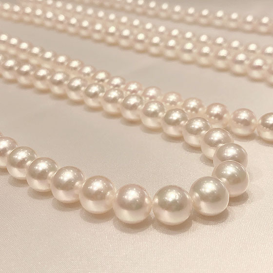 鮮度が命の本真珠だからこそ「今年モノ」に拘りを持って新鮮な真珠のみを取り扱っております。