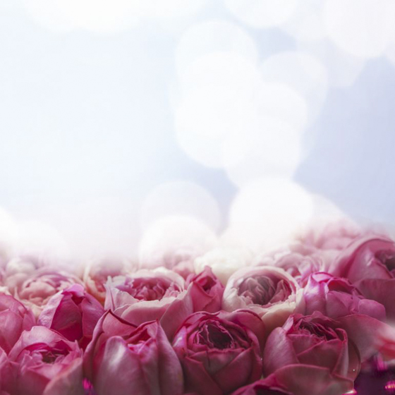 【デザインコンセプト】すべての幸せを手に入れて　喜びの瞬間、大切に育てたガーデンに咲いたピンクのお花を抱えきれない程の花束にして...。